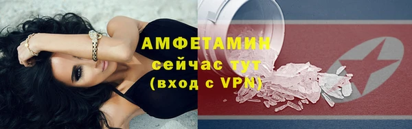 прущие грибы Армянск