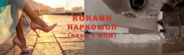 хмурый Арсеньев
