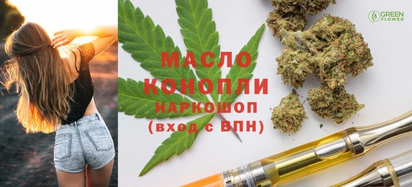 хмурый Арсеньев