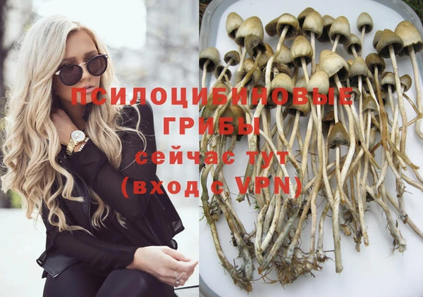 кокс Аркадак