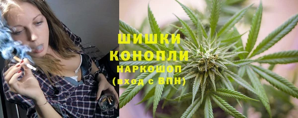прущие грибы Армянск