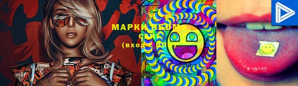 хмурый Арсеньев