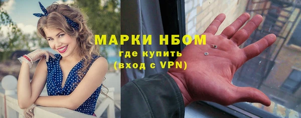 хмурый Арсеньев