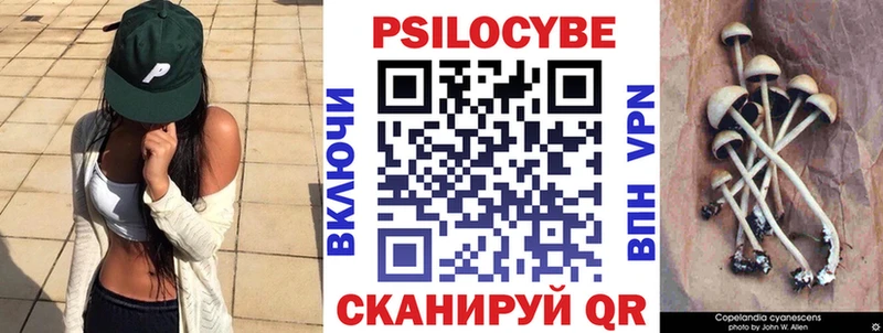 Купить Артёмовский Псилоцибиновые грибы мицелий