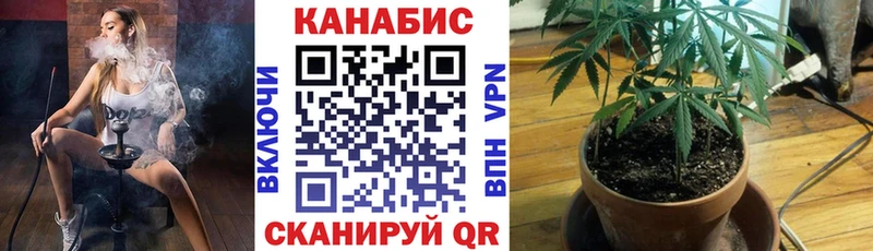 Бошки Шишки тримм  Купить закладки  Артёмовский 